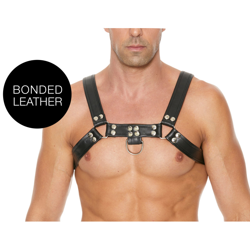 Ouch! Harness Harnais Chest Bulldog Noir